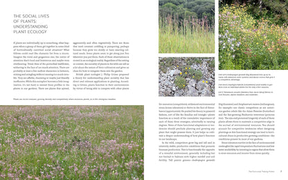 New Naturalism: Designing and Planting a Resilient, Ecologically Vibrant Home Garden