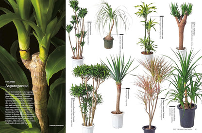 House Plants for Every Space: A Concise Guide to Selecting, Designing and Maintaining Plants in Any Indoor Space: A Concise Guide to Selecting, Designing and Maintaining Plants in Any Indoor Space