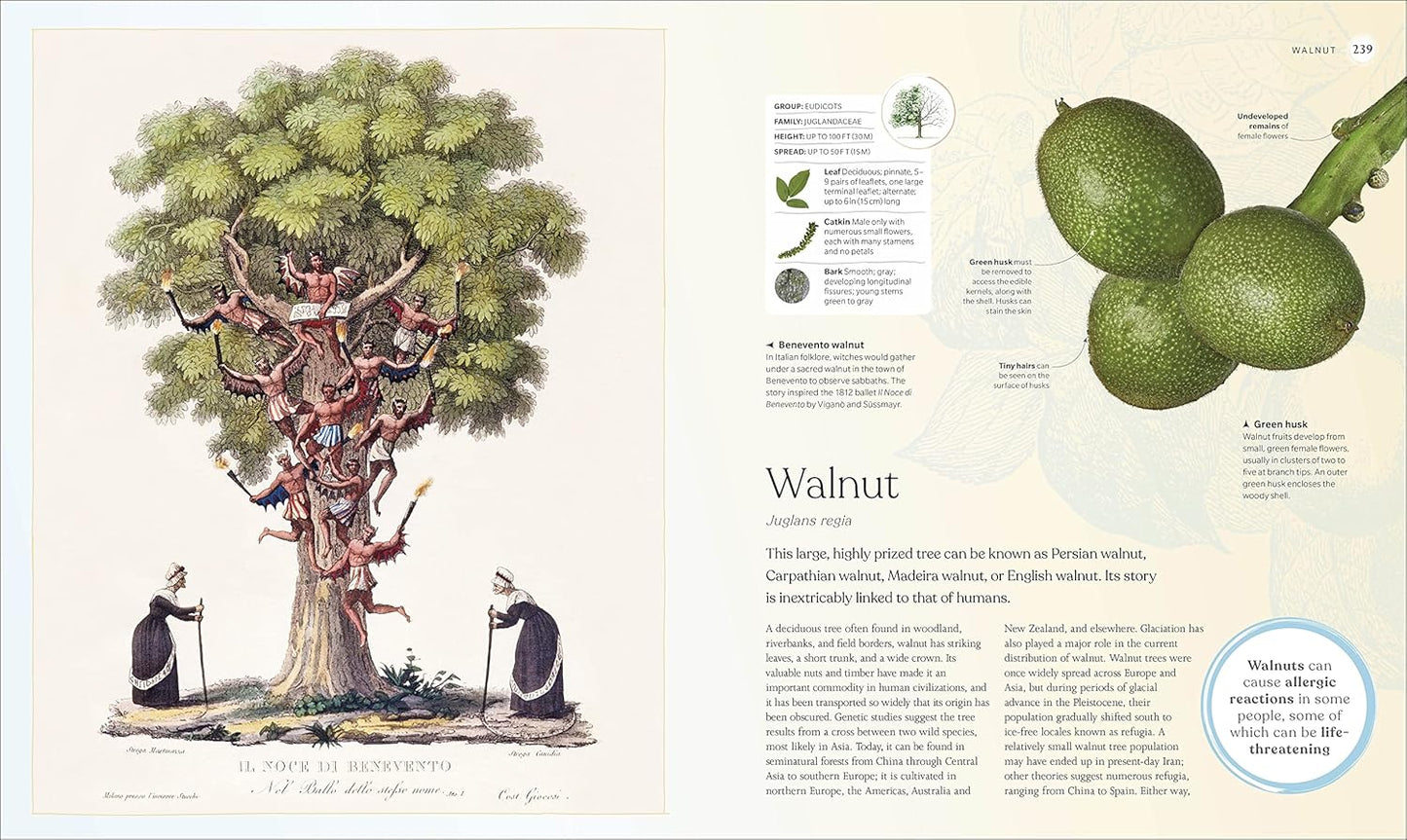 The Tree Book: The Stories, Science, and History of Trees: The Stories, Science, and History of Trees