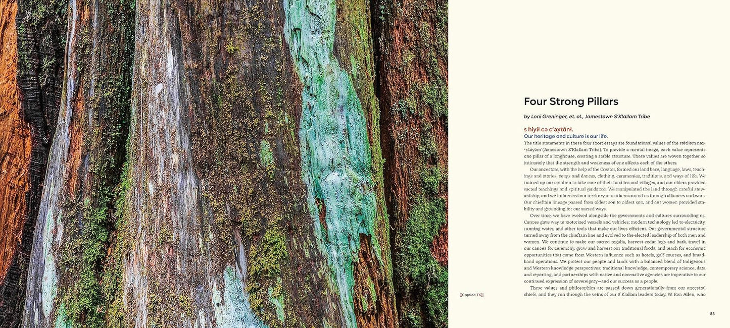 Salmon, Cedar, Rock & Rain: Washington’s Olympic Peninsula