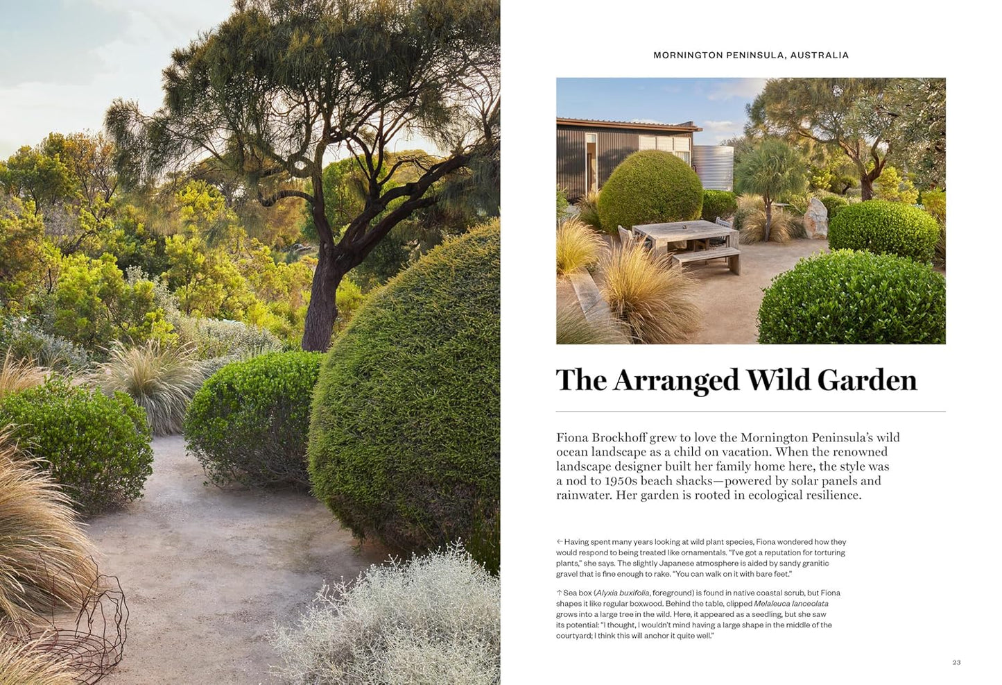 Gardenista: The Low-Impact Garden: A Guide to Creating Sustainable Outdoor Spaces: A Guide to Creating Sustainable Outdoor Spaces