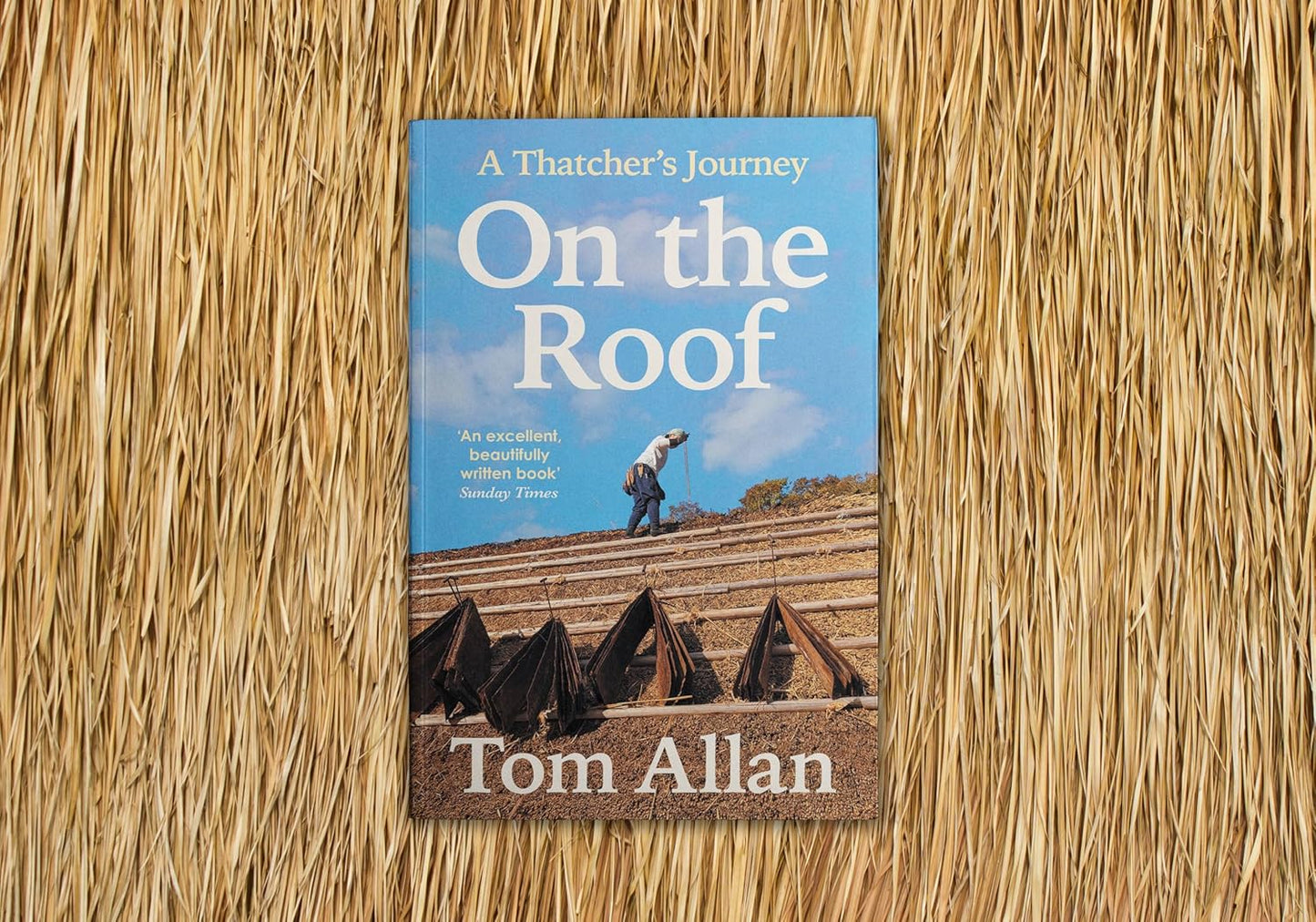 On the Roof: A Thatcher's Journey: A Thatcher's Journey