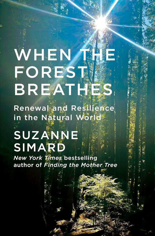 When the Forest Breathes: Renewal and Resilience in the Natural World