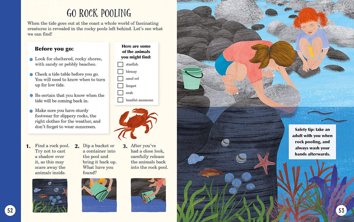 Sticks, Stars, Dens & Stones: Fun Days in the Great Outdoors (RHS) by Emil Fortune