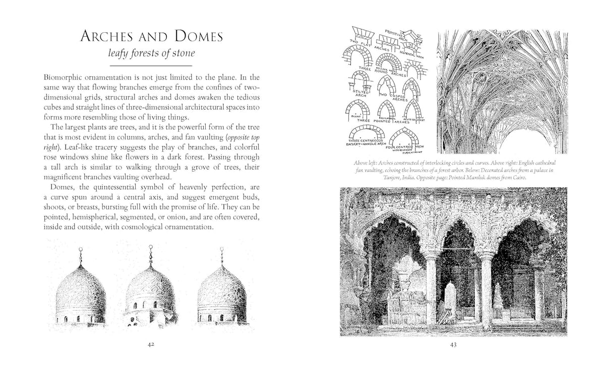 Curves: Flowers, Foliates & Flourishes in the Formal Decorative Arts