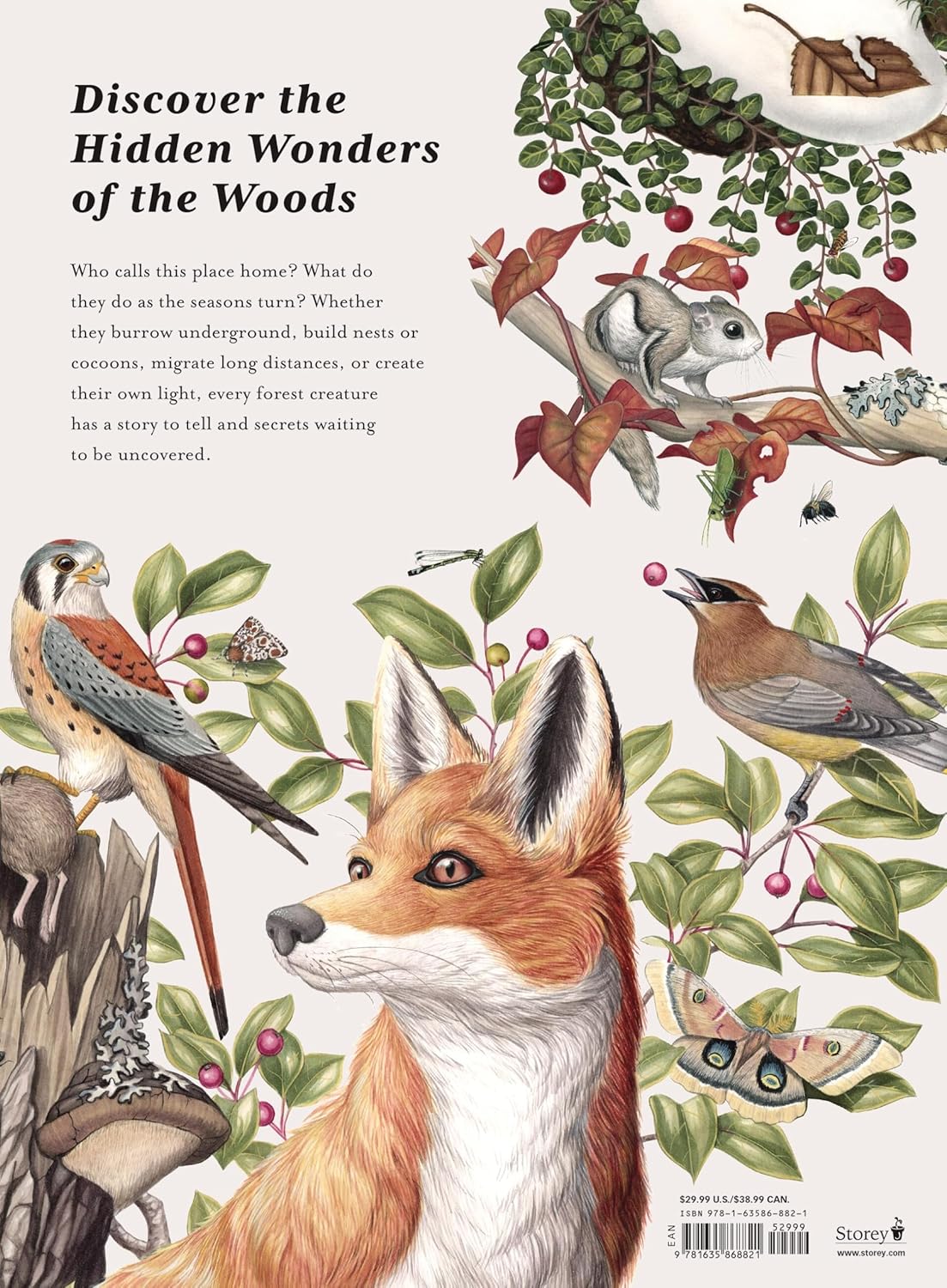 The Forest Revealed: An Illustrated Year by Jada Fitch & Kateri Kosek