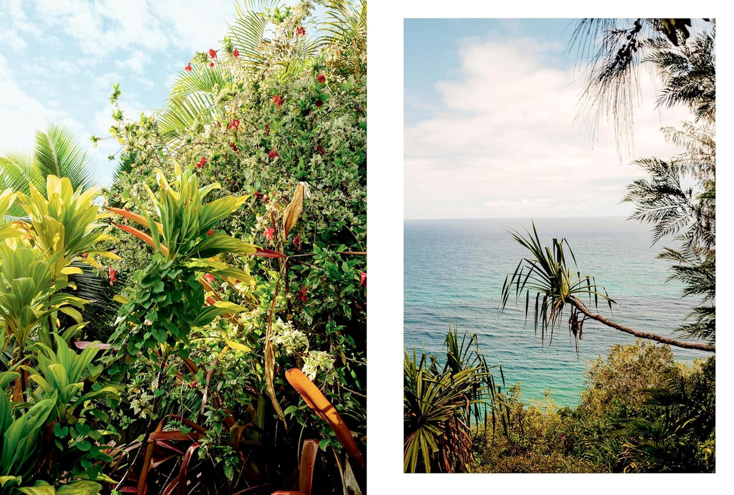 Kinfolk Wilderness by John Burns