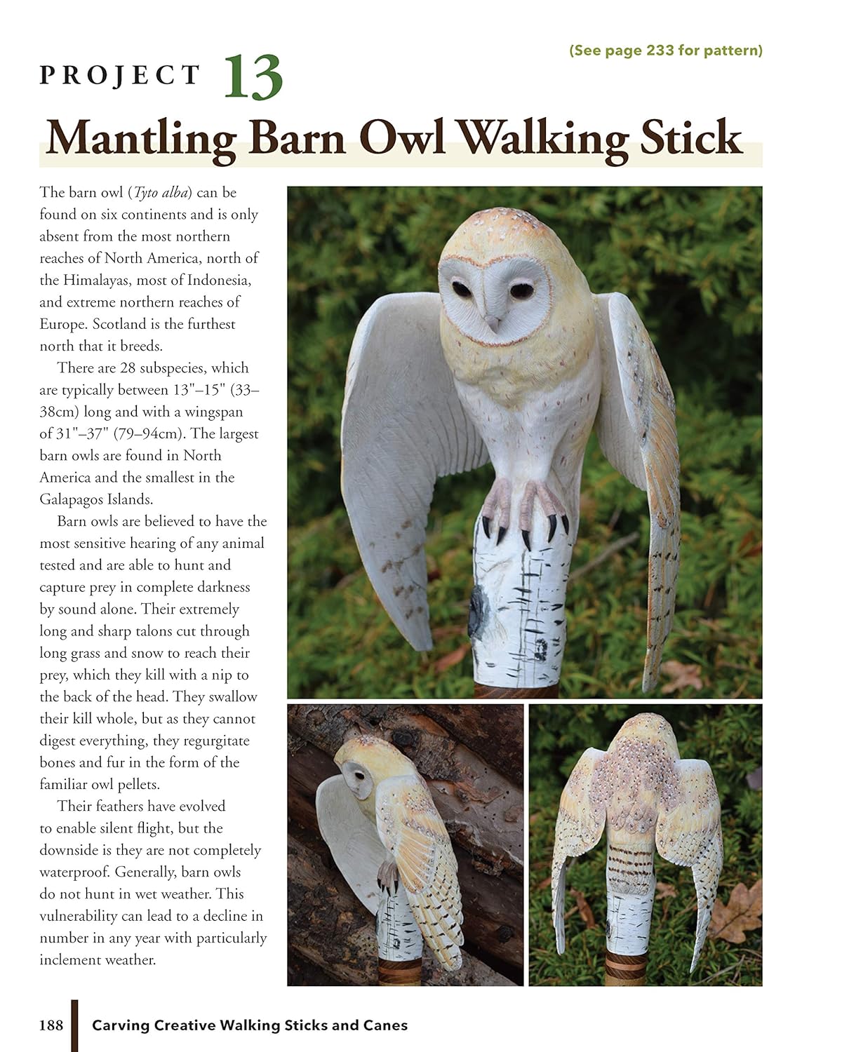 Carving Creative Walking Sticks and Canes: 13 Projects to Carve in Wood: 13 Projects to Carve in Wood