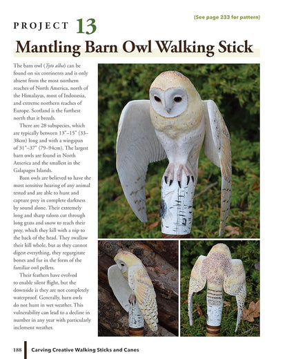 Carving Creative Walking Sticks and Canes: 13 Projects to Carve in Wood: 13 Projects to Carve in Wood