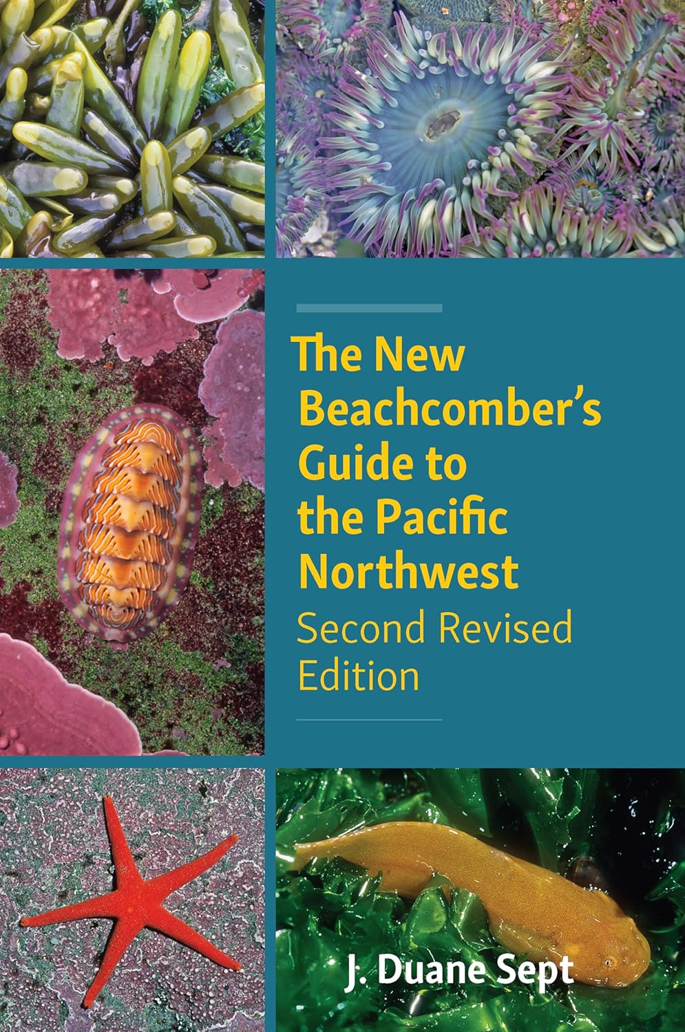 The New Beachcomber's Guide to the Pacific Northwest (2ND Revised Ed.) by J Duane Sept