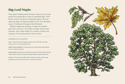 Northwest Know-How: Trees: (A Tree Identification Book): (A Tree Identification Book)