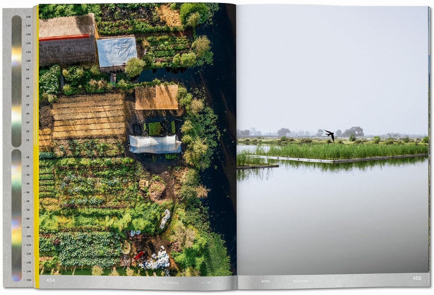 Lo--Tek Water: A Field Guide for TEKnology by Julia Watson