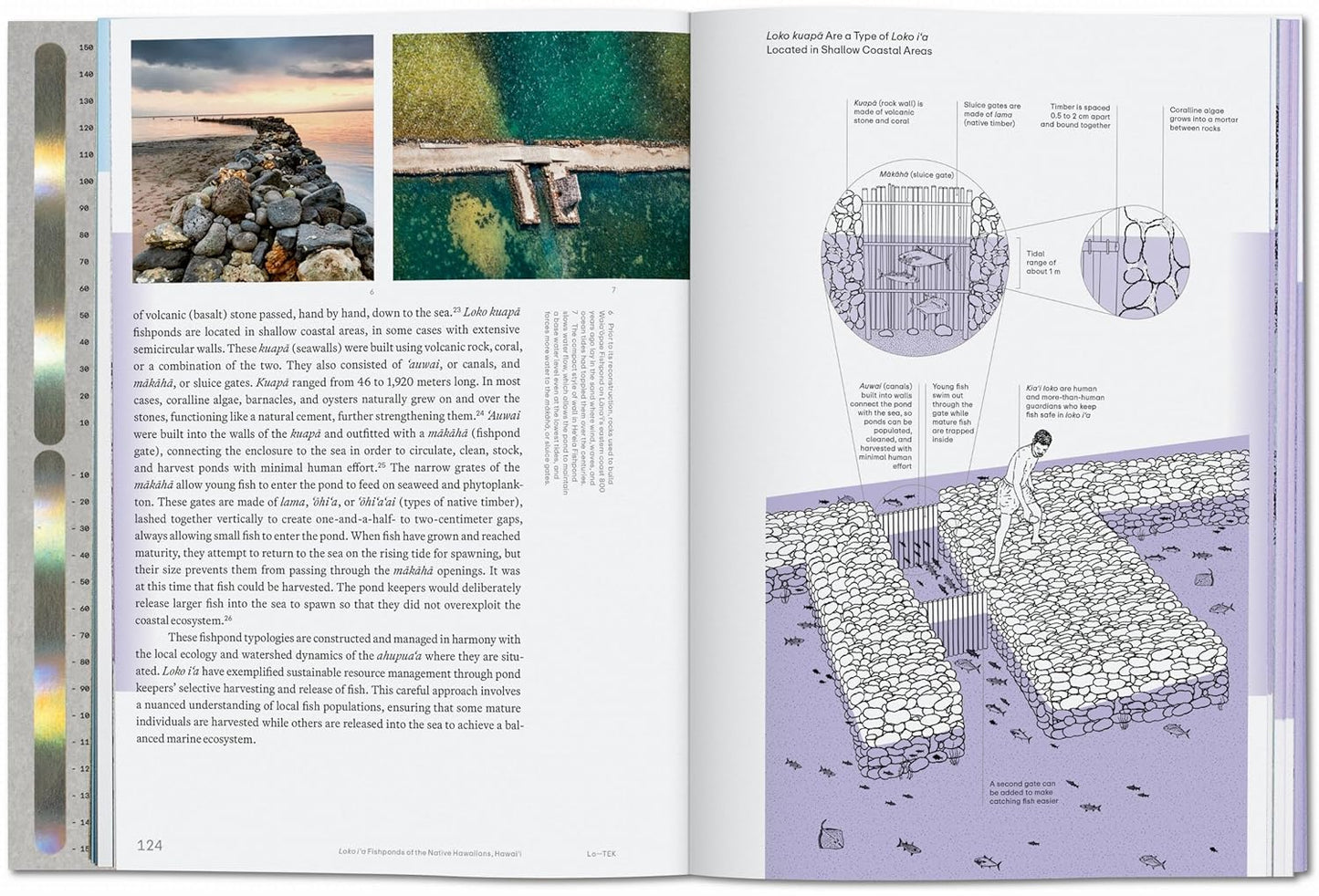 Lo--Tek Water: A Field Guide for TEKnology by Julia Watson