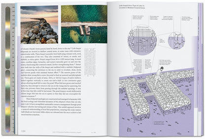 Lo--Tek Water: A Field Guide for TEKnology by Julia Watson