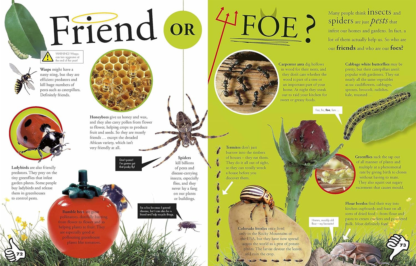 Everything You Need to Know about Bugs by DK