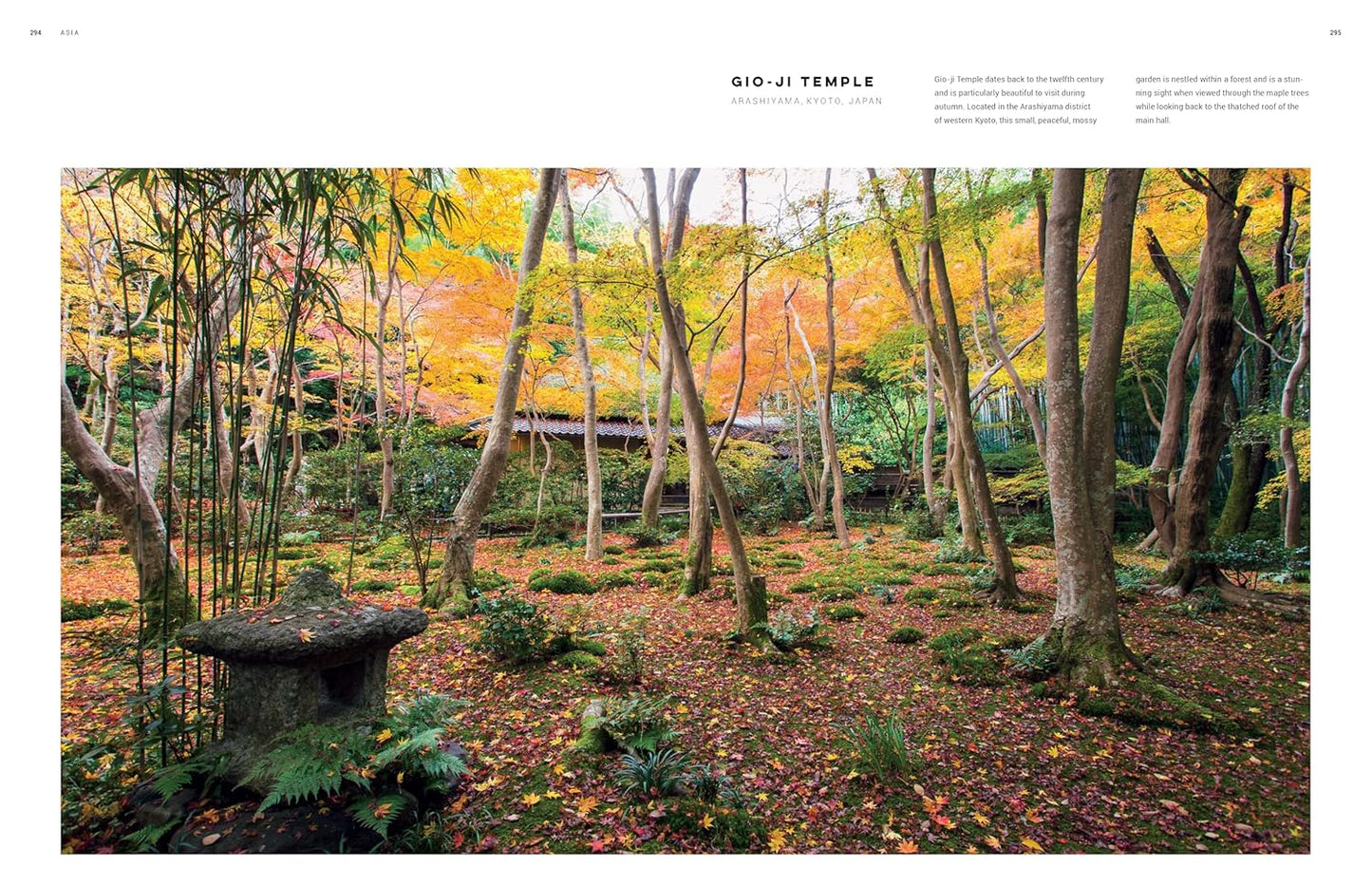 Dreamscapes: Inspiration and Beauty in Gardens Near and Far: Inspiration and Beauty in Gardens Near and Far