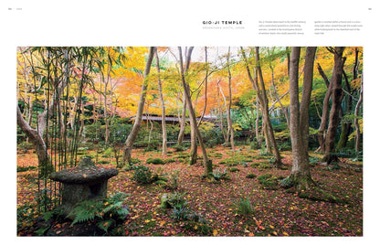 Dreamscapes: Inspiration and Beauty in Gardens Near and Far: Inspiration and Beauty in Gardens Near and Far