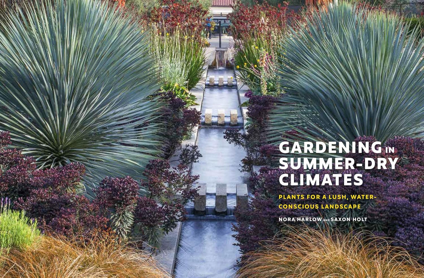 Gardening in Summer-Dry Climates: Plants for a Lush, Water-Conscious Landscape: Plants for a Lush, Water-Conscious Landscape