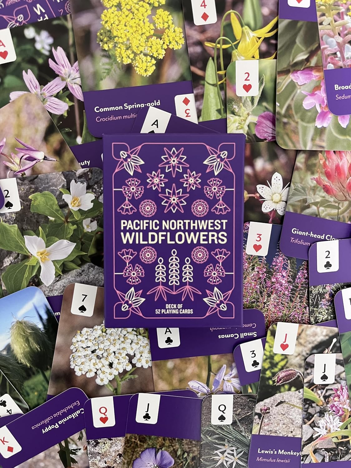 Pacific Northwest Wildflowers Deck: 52 Playing Cards