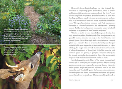 Wildscape: Trilling Chipmunks, Beckoning Blooms, Salty Butterflies, and Other Sensory Wonders of Nature by Nancy Lawson