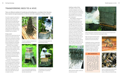 The Practical Book of Beekeeping: A Complete How-To Manual on the Satisfying Art of Keeping Bees and Their Day to Day Care by David Cramp