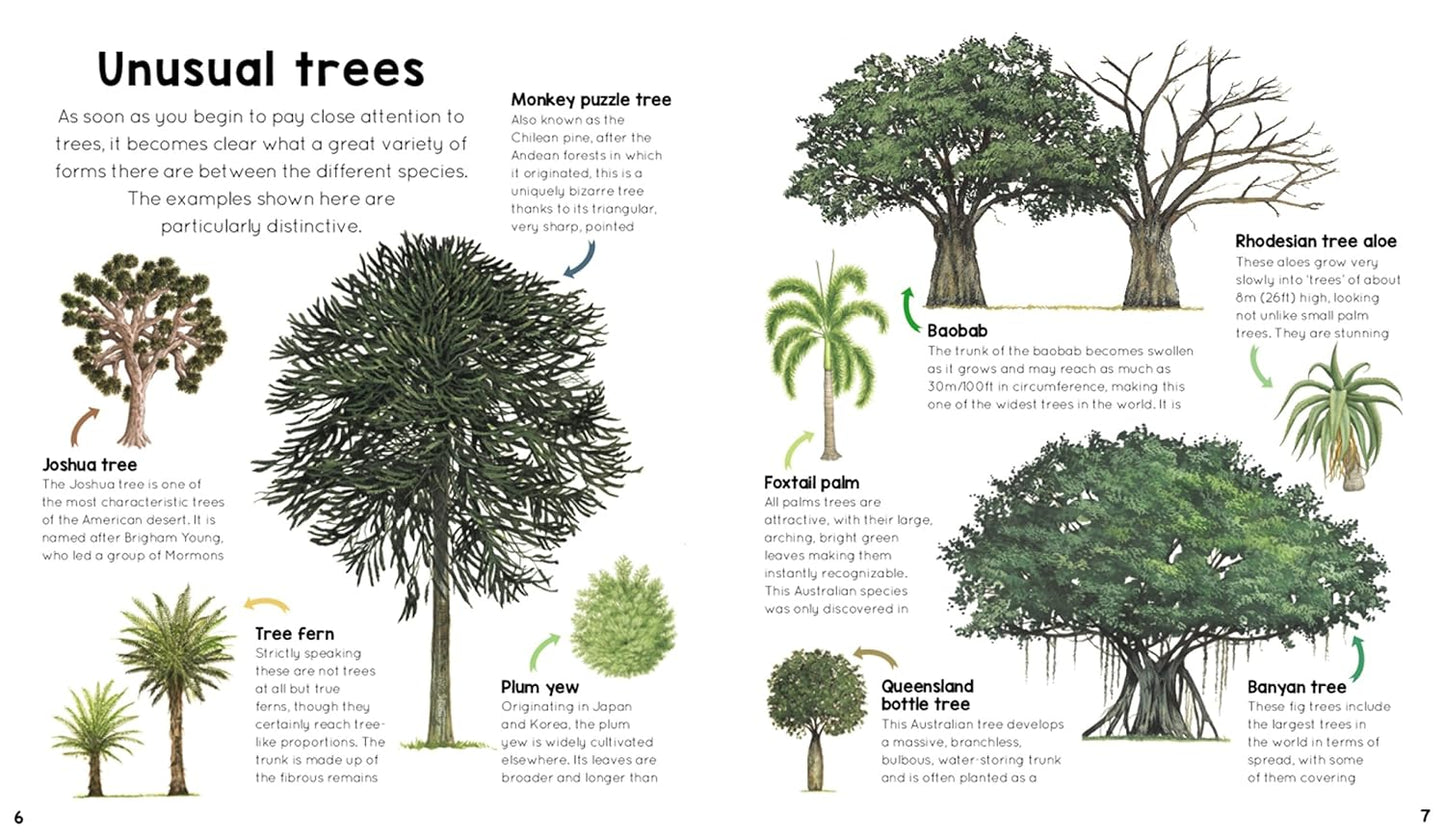 My First Encyclopedia of Trees: A Great Big Book of Amazing Plants to Discover: A Great Big Book of Amazing Plants to Discover