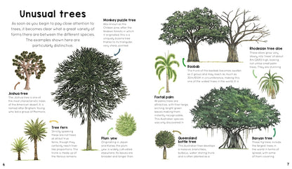 My First Encyclopedia of Trees: A Great Big Book of Amazing Plants to Discover: A Great Big Book of Amazing Plants to Discover