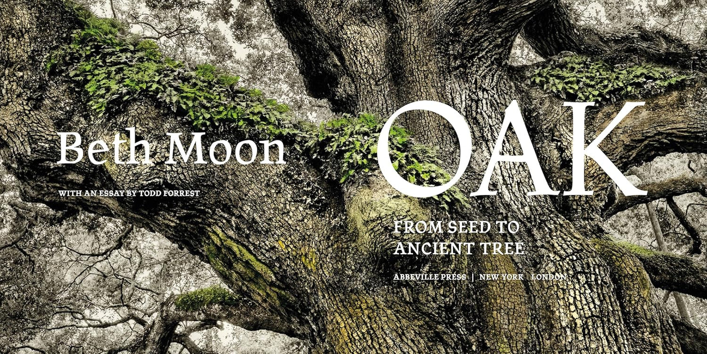 Oak: From Seed to Ancient Tree: From Seed to Ancient Tree