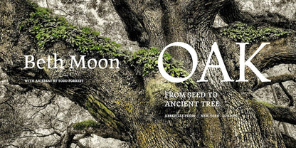 Oak: From Seed to Ancient Tree: From Seed to Ancient Tree