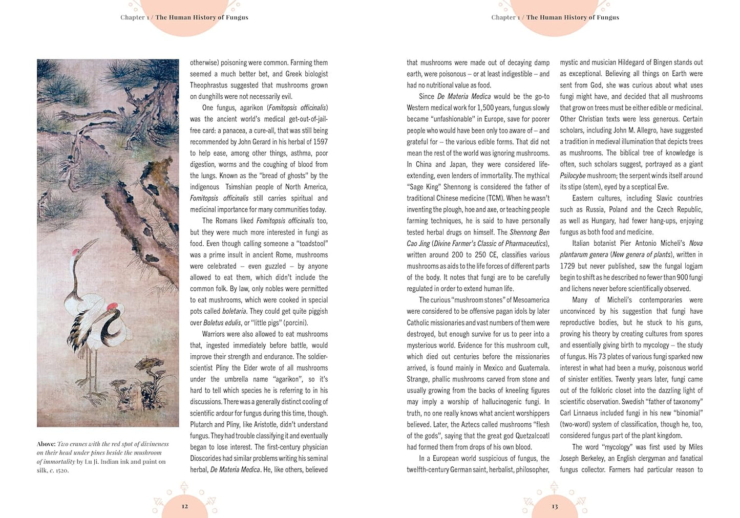 The Magic of Mushrooms: Fungi in Folklore, Superstition and Traditional Medicine: Fungi in Folklore, Superstition and Traditional Medicine