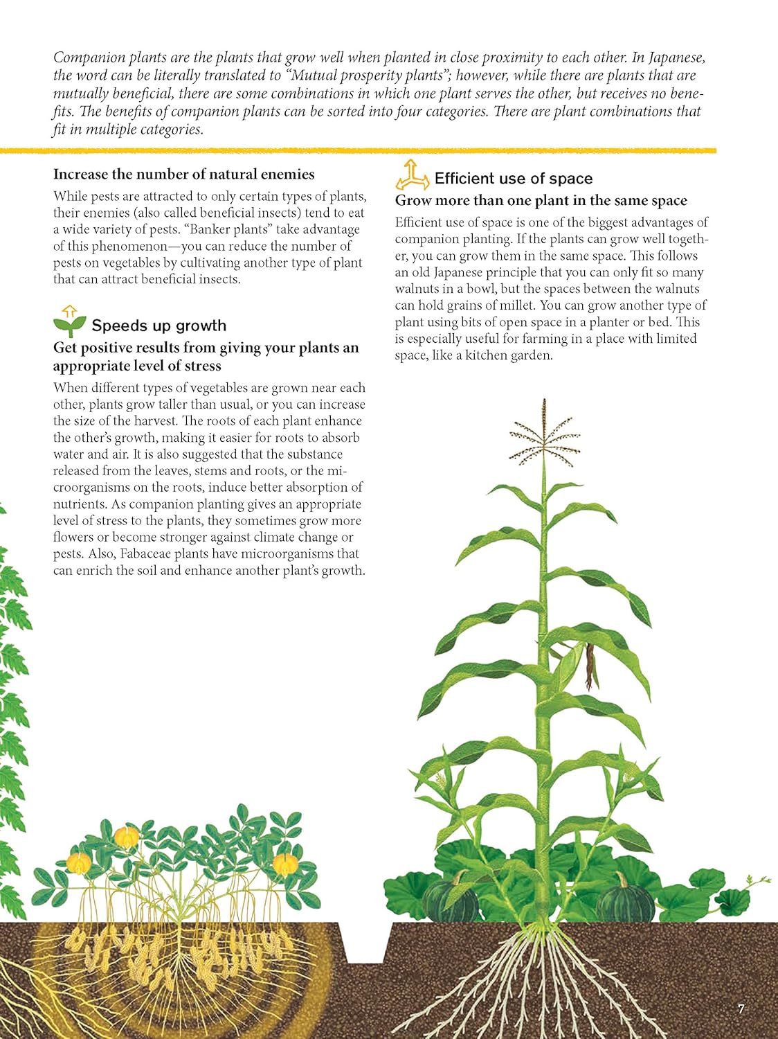 Japanese Style Companion Planting: Organic Gardening Techniques for Optimal Growth and Flavor: Organic Gardening Techniques for Optimal Growth and Flavor