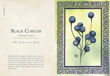 Wild Medicine: An Illustrated Guide to the Magick of Herbs: An Illustrated Guide to the Magick of Herbs