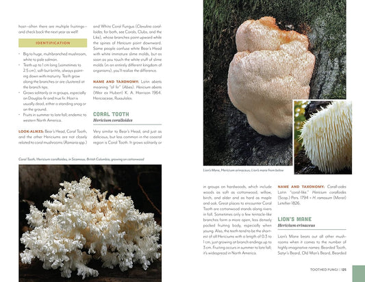 Fruits of the Forest: A Field Guide to Pacific Northwest Edible Mushrooms: A Field Guide to Pacific Northwest Edible Mushrooms