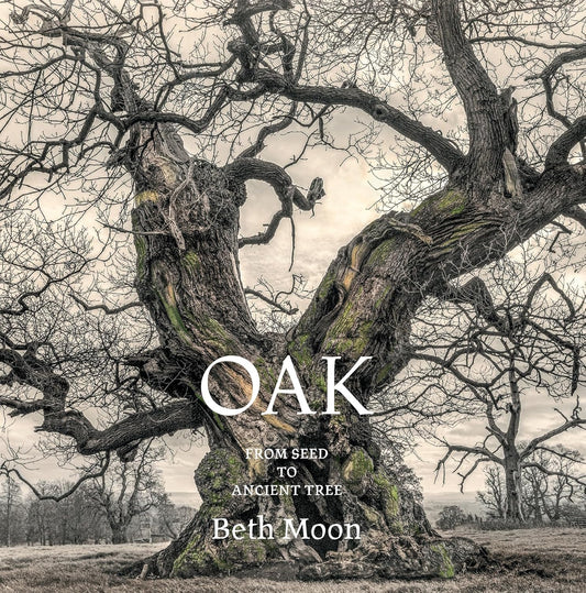 Oak: From Seed to Ancient Tree: From Seed to Ancient Tree