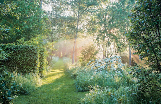Dreamscapes: Inspiration and Beauty in Gardens Near and Far: Inspiration and Beauty in Gardens Near and Far