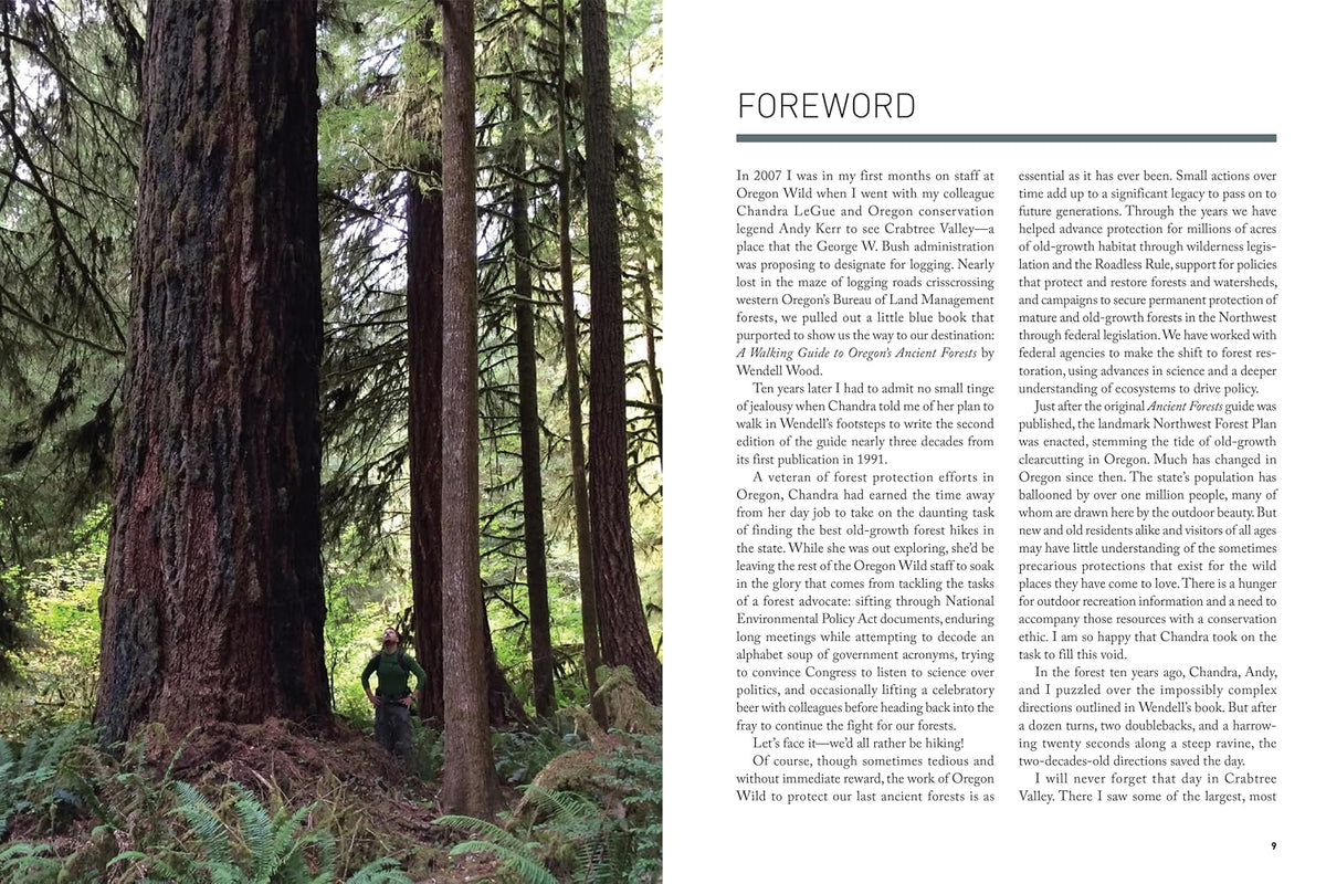 Oregon's Ancient Forests: A Hiking Guide