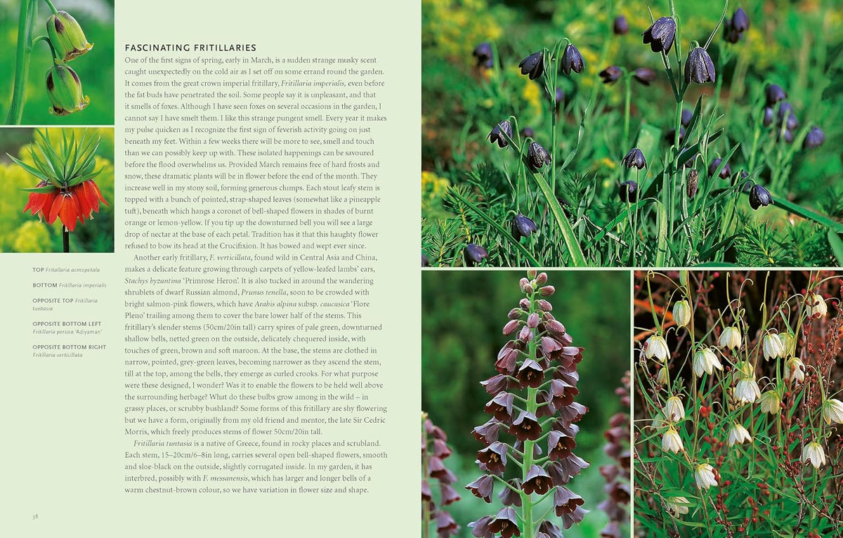 Drought-Resistant Planting