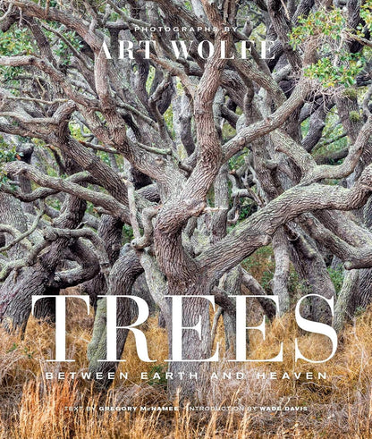 Trees: Between Earth and Heaven (Gift Edition)