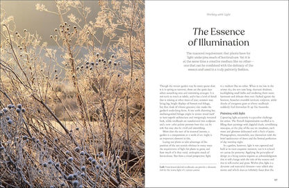 The Winter Garden: Celebrate the Forgotten Season: Celebrate the Forgotten Season