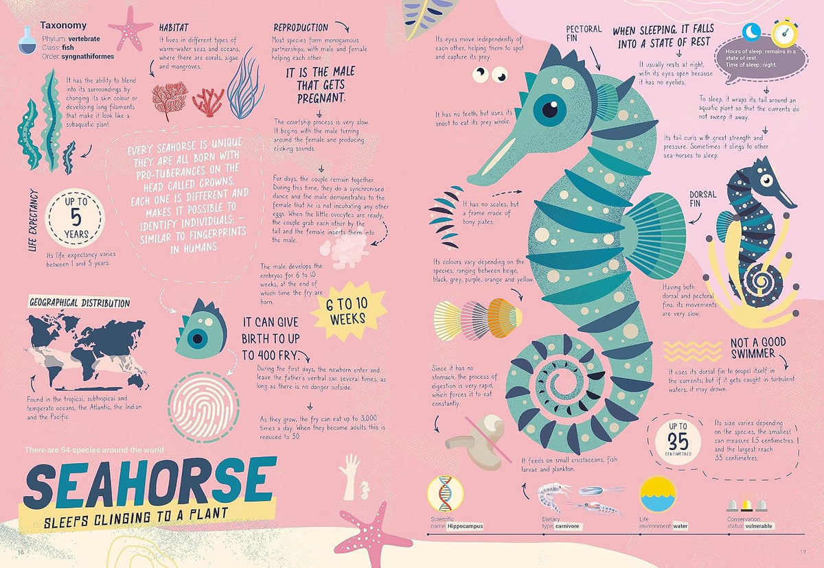 How Does an Octopus Sleep?: Discover the Ways Your Favourite Animals Sleep and What Makes Them Special
