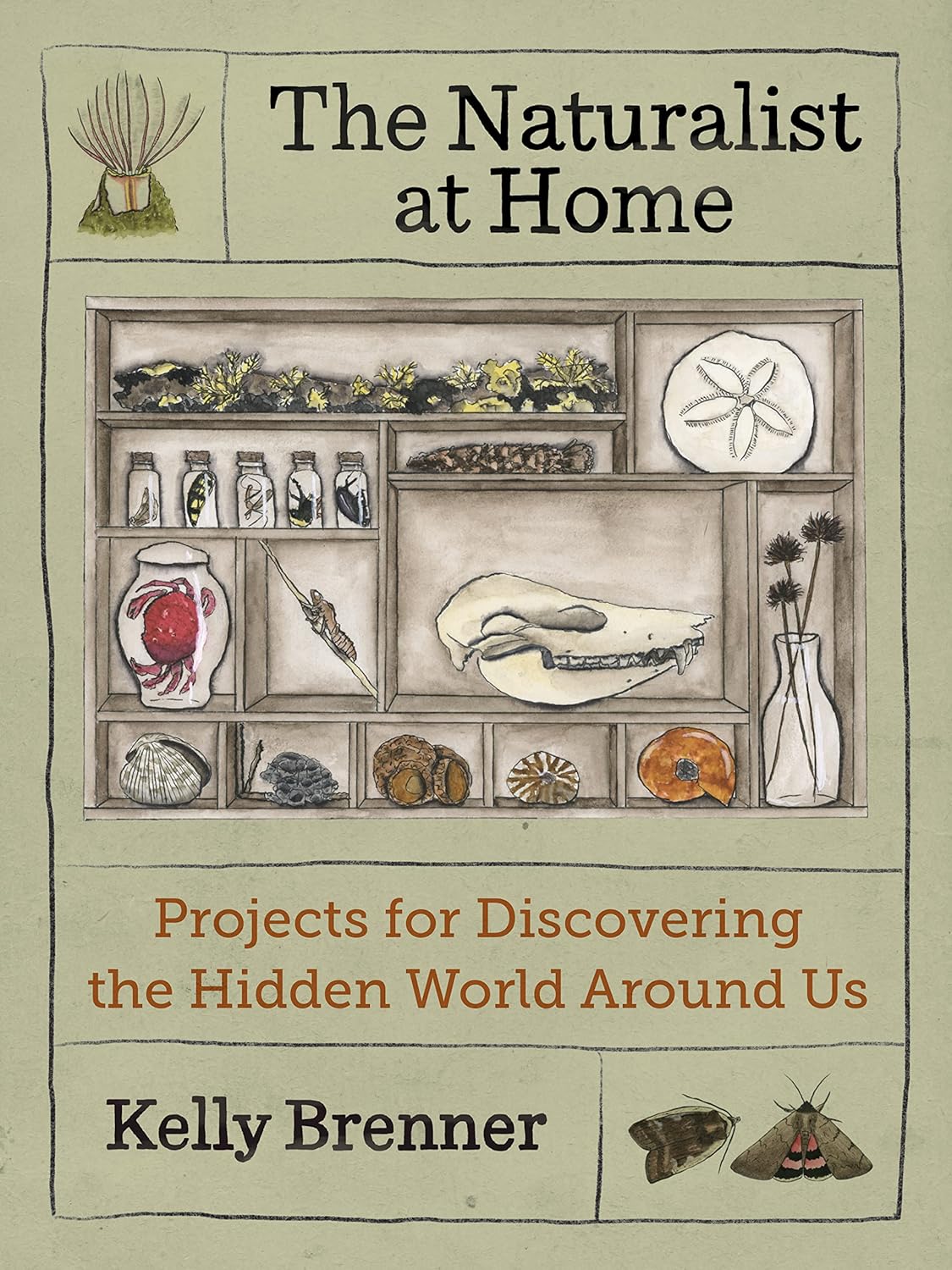 The Naturalist at Home: Projects for Discovering the Hidden World Around Us: Projects for Discovering the Hidden World Around Us