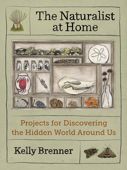The Naturalist at Home: Projects for Discovering the Hidden World Around Us: Projects for Discovering the Hidden World Around Us