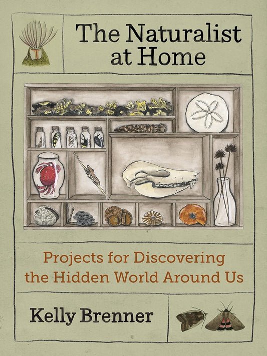 The Naturalist at Home: Projects for Discovering the Hidden World Around Us: Projects for Discovering the Hidden World Around Us