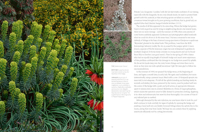 Drought-Resistant Planting