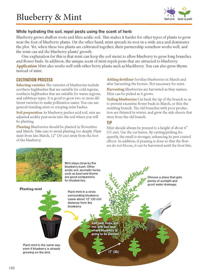 Japanese Style Companion Planting: Organic Gardening Techniques for Optimal Growth and Flavor: Organic Gardening Techniques for Optimal Growth and Flavor