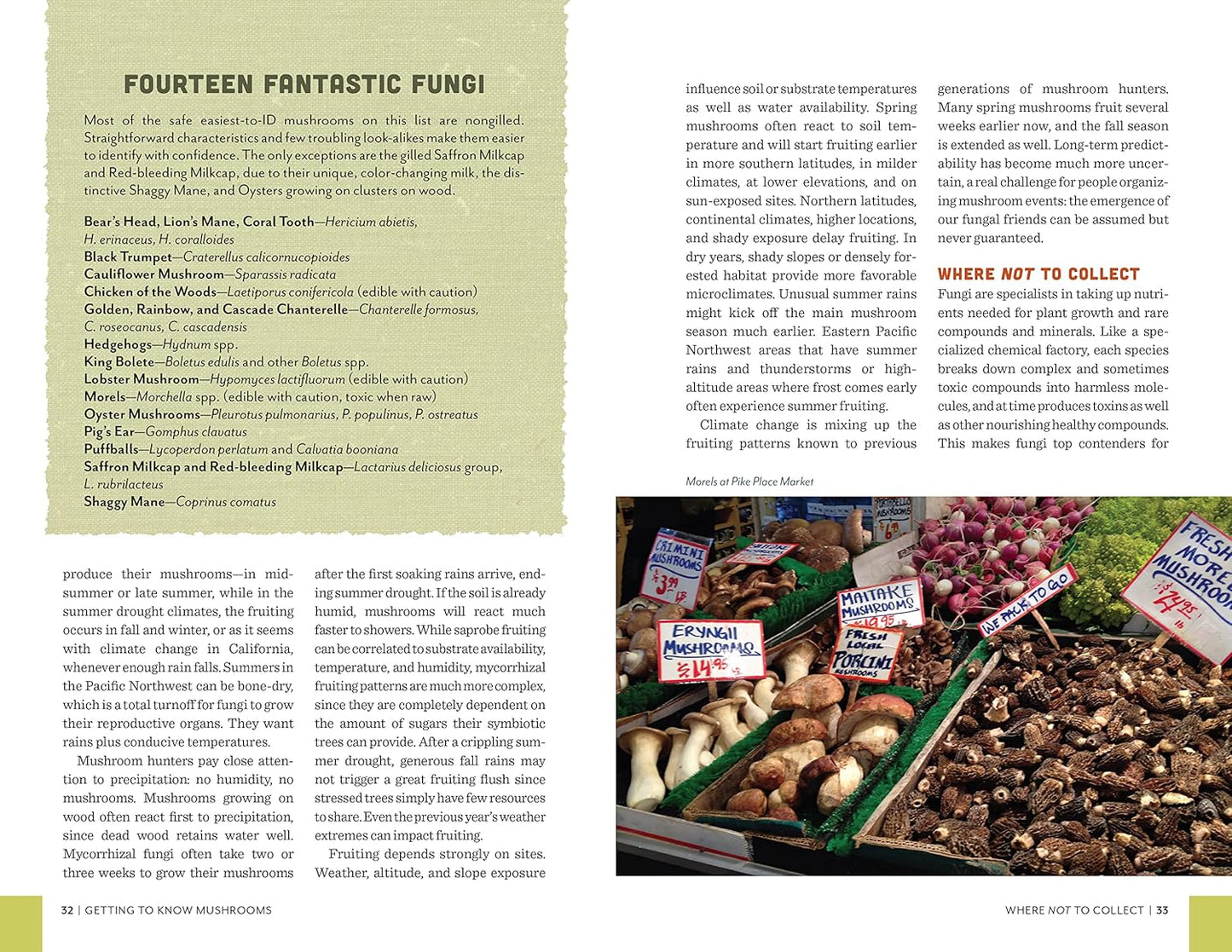 Fruits of the Forest: A Field Guide to Pacific Northwest Edible Mushrooms: A Field Guide to Pacific Northwest Edible Mushrooms