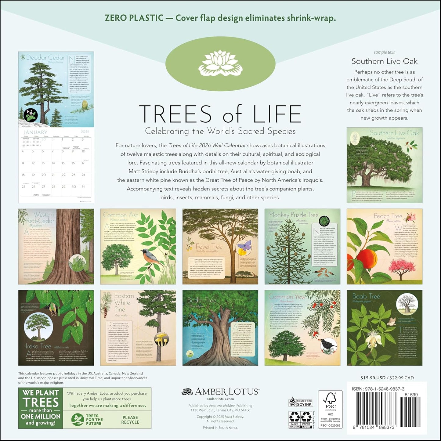 Trees of Life 2026 Wall Calendar: Celebrating the World's Sacred Species by Matt Strieby