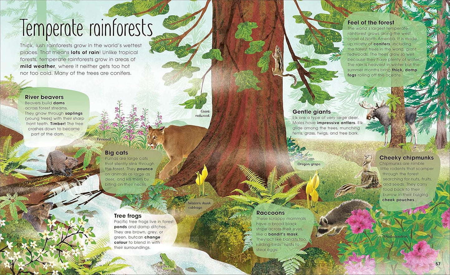 The Magic and Mystery of Trees