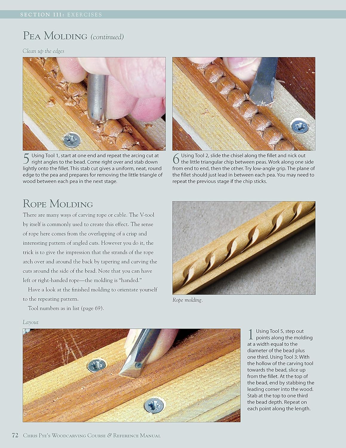 Chris Pye's Woodcarving Course & Reference Manual: A Beginner's Guide to Traditional Techniques