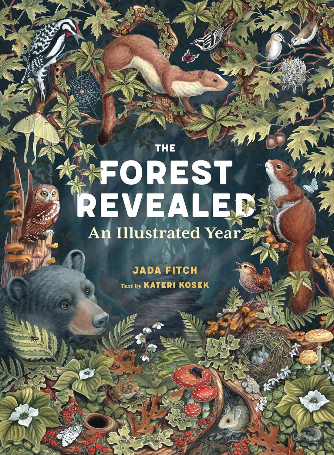 The Forest Revealed: An Illustrated Year by Jada Fitch & Kateri Kosek